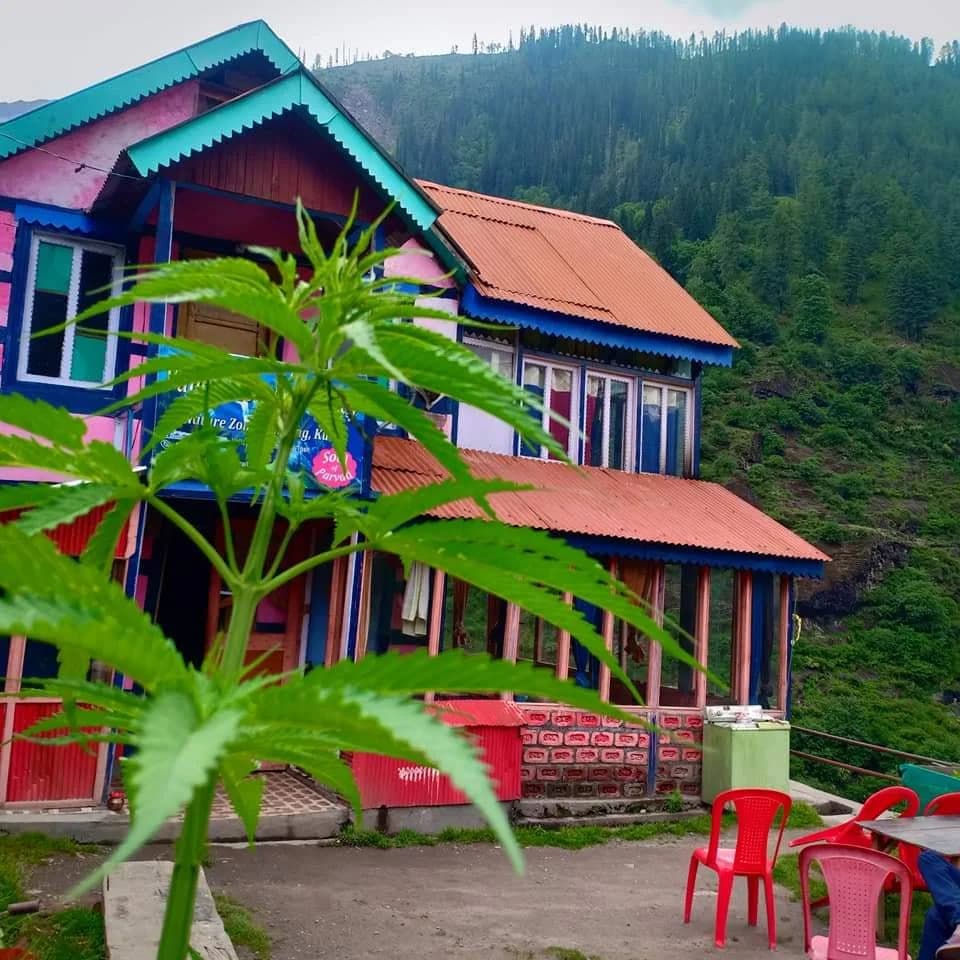 Valley View Home Stay, Tosh details image