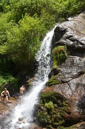Guided Forest & Waterfall Trek